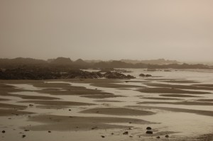 January 09 Jem's birthday_ Kennack Sands_ Rosie 3120057