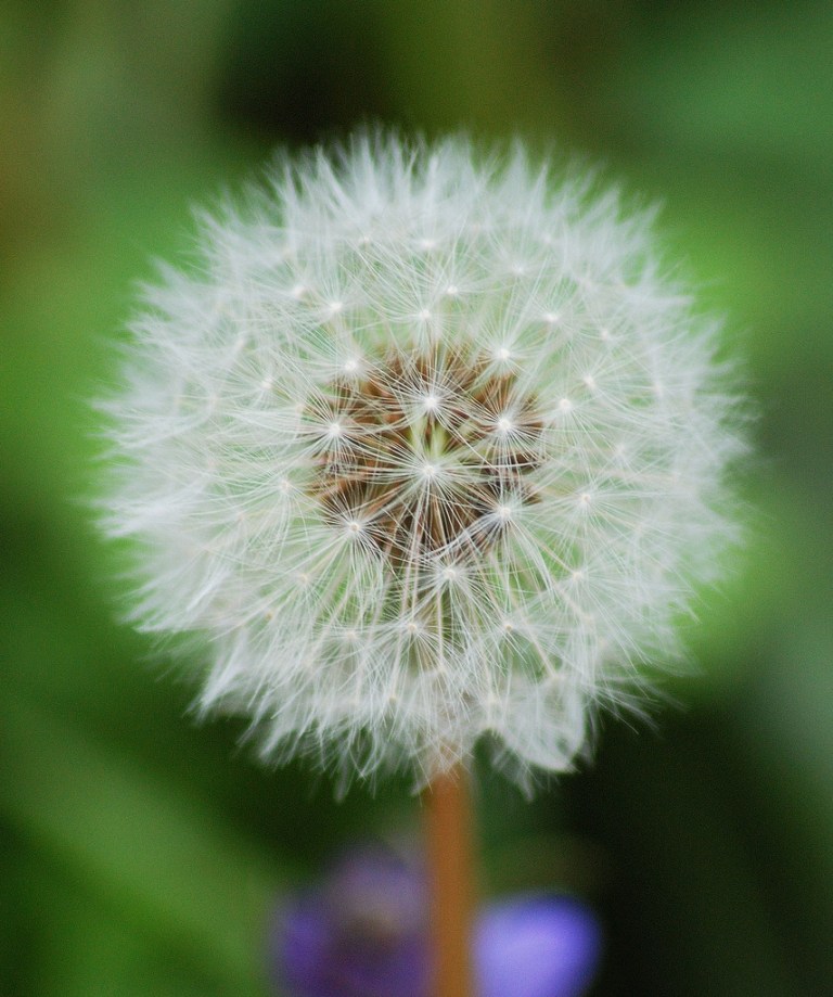 5764069451_fd2b7e3fa5_b