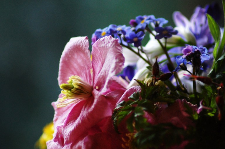 5764620962_9713d82ec9_b