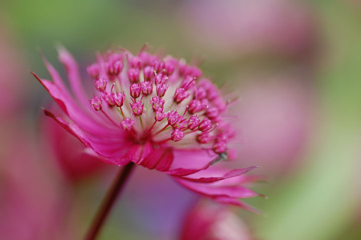 5824699546_04ca92f644_b