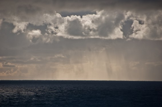 Assignments Oct 11-26