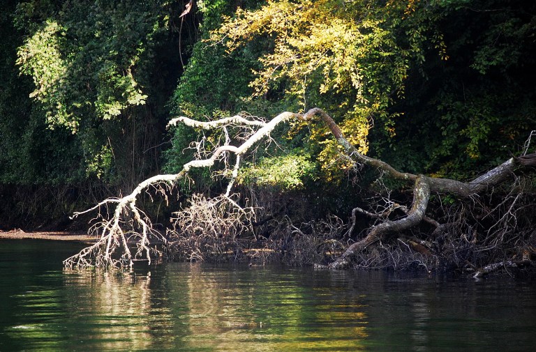 Freya's Christening0001_2