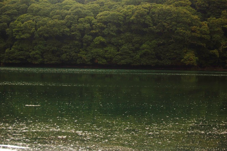 Gillan Creek, Helford River, Carne, September 2010 066