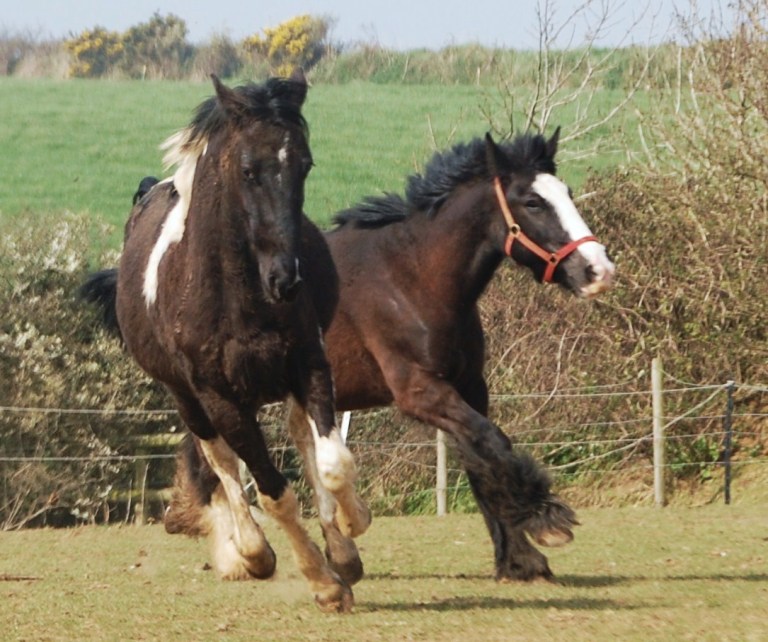 5589265356_2e96883ee2_o