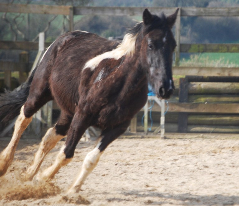 5592404479_9ffbb0bdd2_o