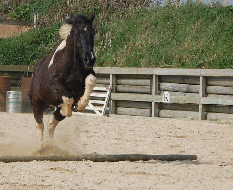 5592995788_0130aac5f4_o