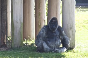 IMG_5715 - Version 2